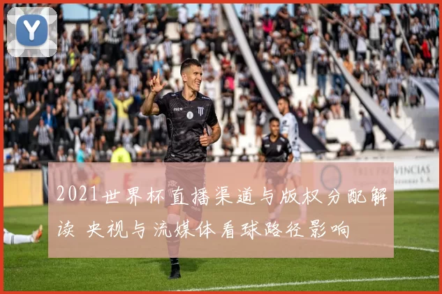 2021世界杯直播渠道与版权分配解读 央视与流媒体看球路径影响