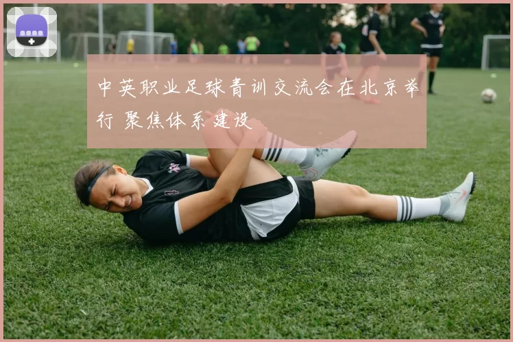 中英职业足球青训交流会在北京举行 聚焦体系建设